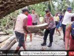Secara Gotong Royong Kapolres Gorut Bantu Warga Evakuasi Pohon Tumbang