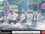 Penemuan Seekor Buaya 4,7 Meter, Kades Bulalo Imbau Warga untuk Tetap Waspada   