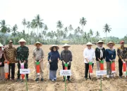 Pj.Bupati Boalemo Resmikan Penanaman Padi Gogo di Desa Piloliyanga