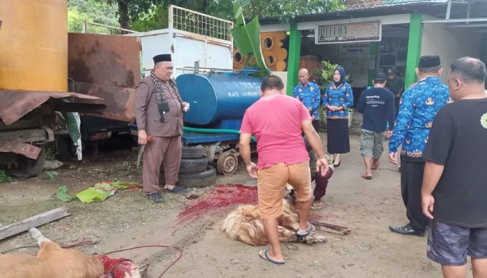 Dinas Lingkungan Hidup Kabgor Tindaklanjuti SE Kementerian LHK, Pembungkus Daging Kurban Gunakan Daun Pisang