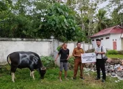 Jelang Hari Raya Idul Adha, BSG Cabang Tilamuta Serahkan Hewan Qurban untuk Masyarakat Boalemo