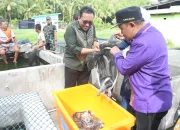 Bupati Boalemo Bersama Deputi Kepala BI Gorontalo Kunjungi Pembibitan Ikan Lele dan Bioflok Ikan Nila