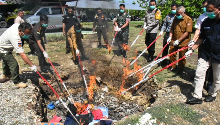 Pemusnahan Babuk: Pemkab Gorontalo dan Aparat Hukum Komit Bersihkan Wilayah dari Kriminalitas