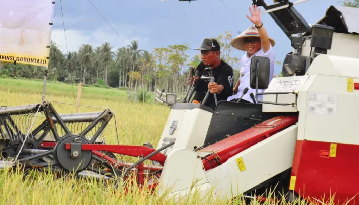 Bulog Jadi Kunci Stabilitas Harga Gabah Milik Para Petani