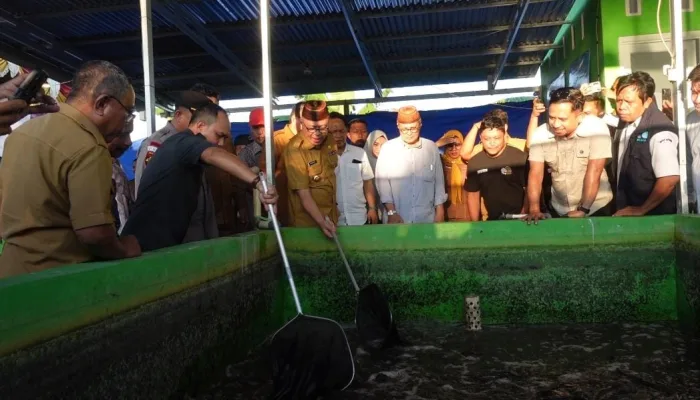 Bupati Gorontalo Dorong UMKM Perikanan Naik Kelas Lewat Panen Ikan