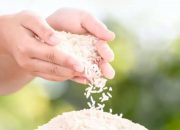 Kecurangan Beras Premium, Mengapa Regulasi Tak Bergigi ?