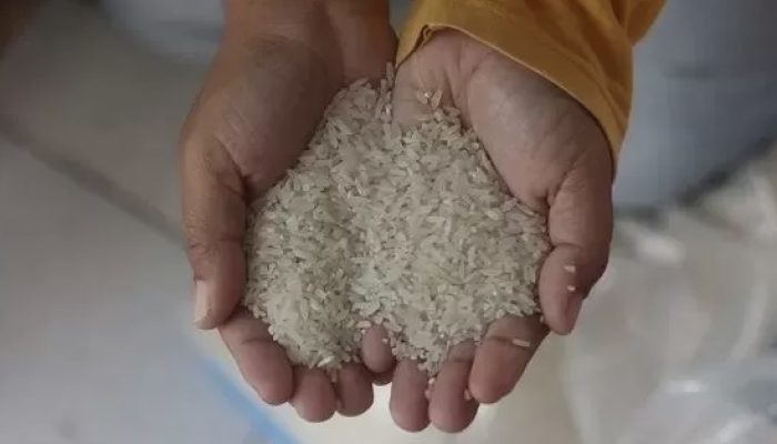 Kecurangan Beras Premium dan Regulasi Yang Lemah Oleh Negara