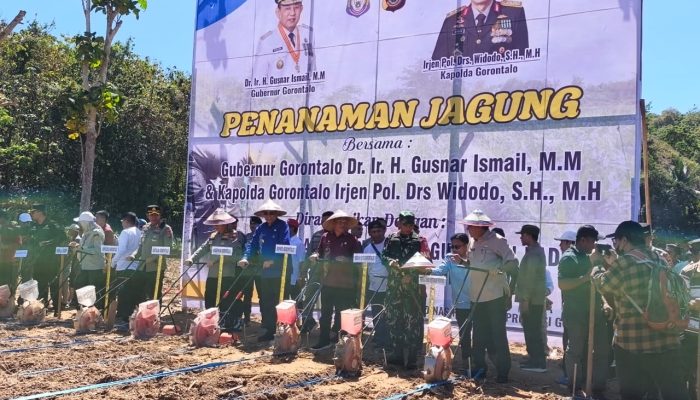 Petani di Talumelito Terima Bantuan Benih Jagung dan Padi