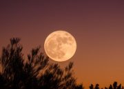 Bulan Purnama
