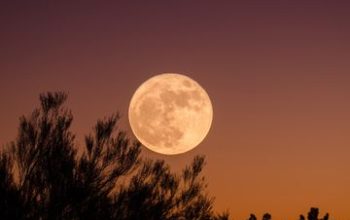 Bulan Purnama