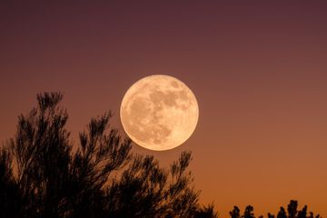Bulan Purnama