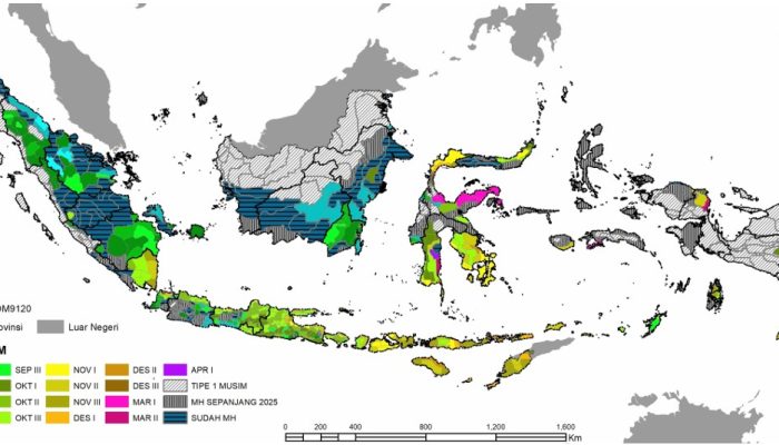 BMKG: Musim Hujan 2025/2026 Diprediksi Datang Lebih Awal dan Lebih Panjang
