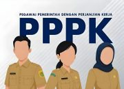 MOLA BKN Hadirkan Layanan Cek NIP PPPK Paruh Waktu Secara Online