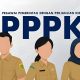 PPPK Paruh Waktu