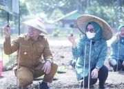 Ketua TP PKK Boltara Dorong Gerakan Menanam Pekarangan