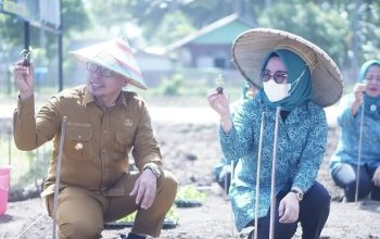 Ketua TP PKK Boltara Dorong Gerakan Menanam Pekarangan