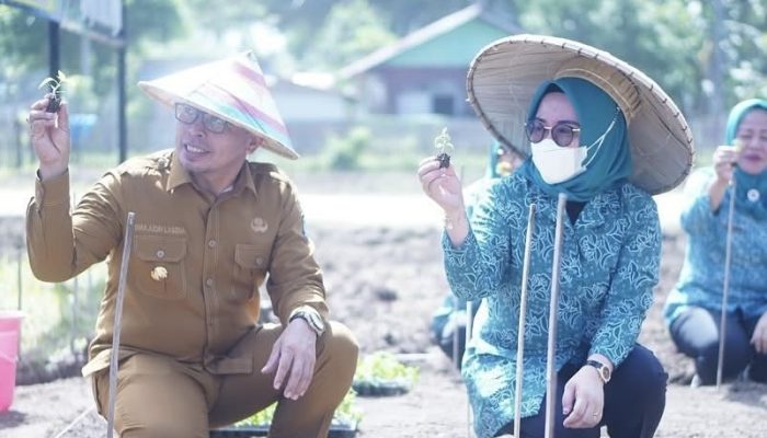 Ketua TP PKK Boltara Dorong Gerakan Menanam Pekarangan