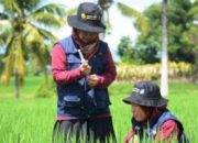 BKN Kebut Penambahan Penyuluh Pertanian Nasional