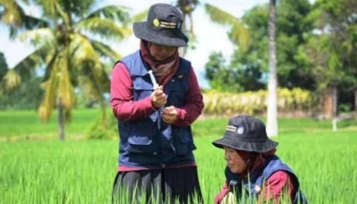 BKN Kebut Penambahan Penyuluh Pertanian Nasional