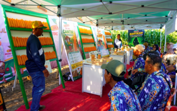 Gubernur Gusnar Dukung Bayer Perkenalkan Inovasi Teknologi Pertanian di PENAS 2026, Perkuat Ketahanan Pangan Nasional