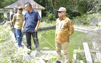 Taluhu Barakati Mati Suri, Bupati Sofyan Turun Tangan Siapkan Revitalisasi 4 Taluhu Barakati