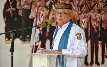 Ketua pkk