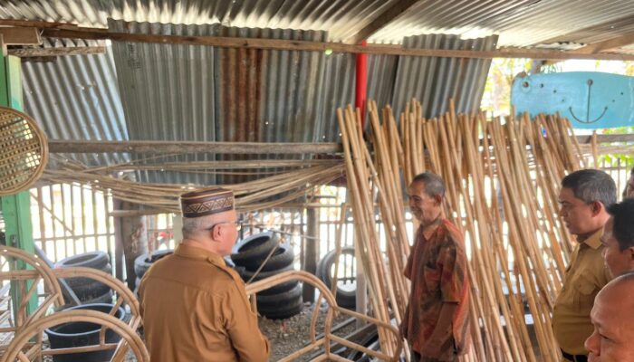Bupati Sofyan Puhi Tinjau PLUT UMKM dan Tempat Kerajinan Rotan di Desa Luwuo