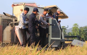 Kekerasan Anak